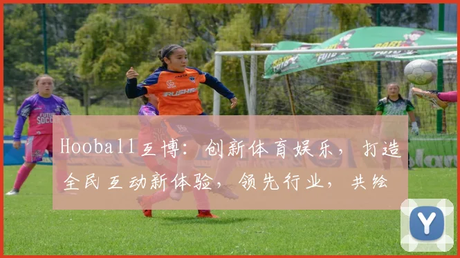 Hooball互博：创新体育娱乐，打造全民互动新体验，领先行业，共绘精彩画卷