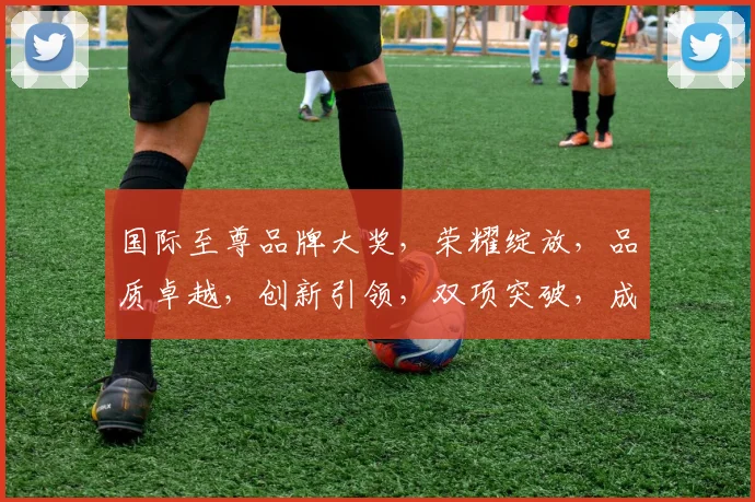 国际至尊品牌大奖，荣耀绽放，品质卓越，创新引领，双项突破，成就非凡