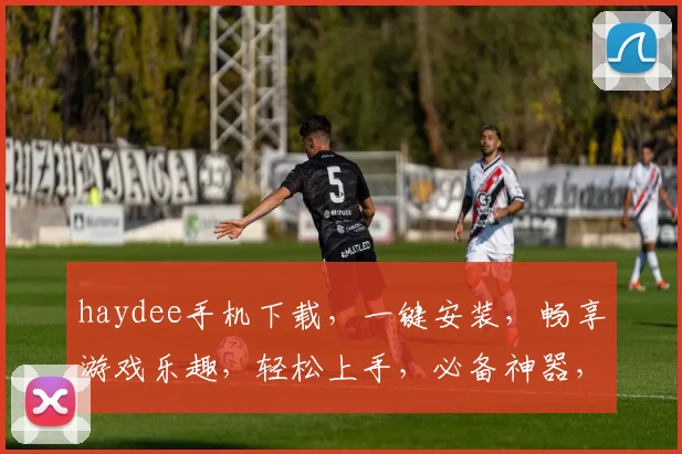 haydee手机下载，一键安装，畅享游戏乐趣，轻松上手，必备神器，三步完成