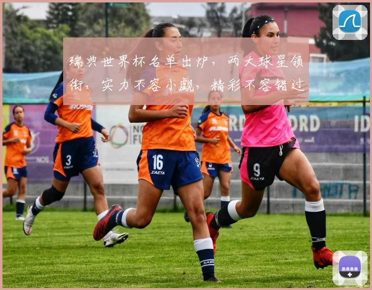 瑞典世界杯名单出炉，两大球星领衔，实力不容小觑，精彩不容错过，敬请期待