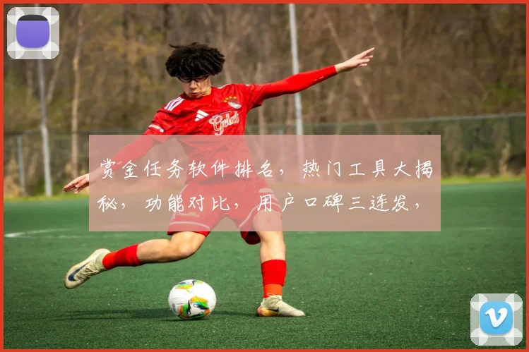 赏金任务软件排名，热门工具大揭秘，功能对比，用户口碑三连发，助力高效选择