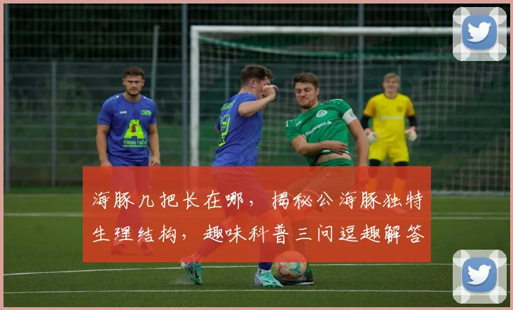 海豚几把长在哪，揭秘公海豚独特生理结构，趣味科普三问逗趣解答